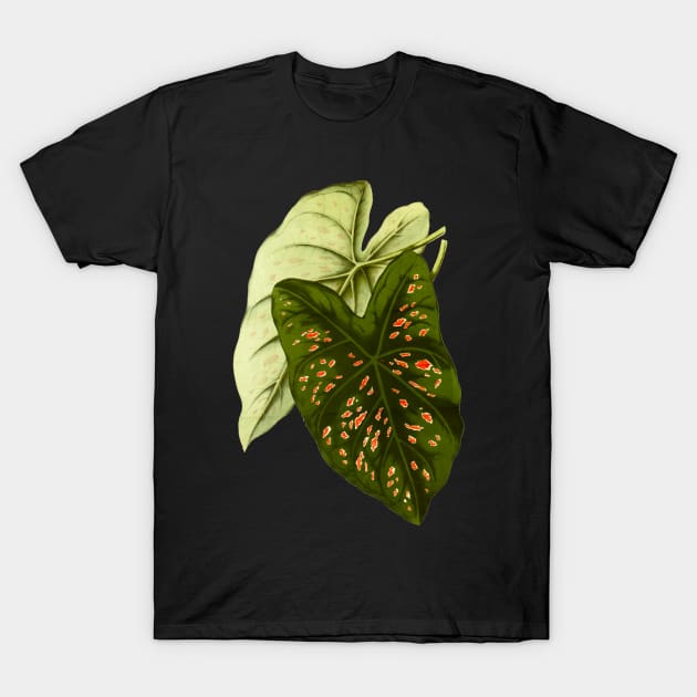 Caladium Freckles - botanical illustration T-Shirt by chimakingthings